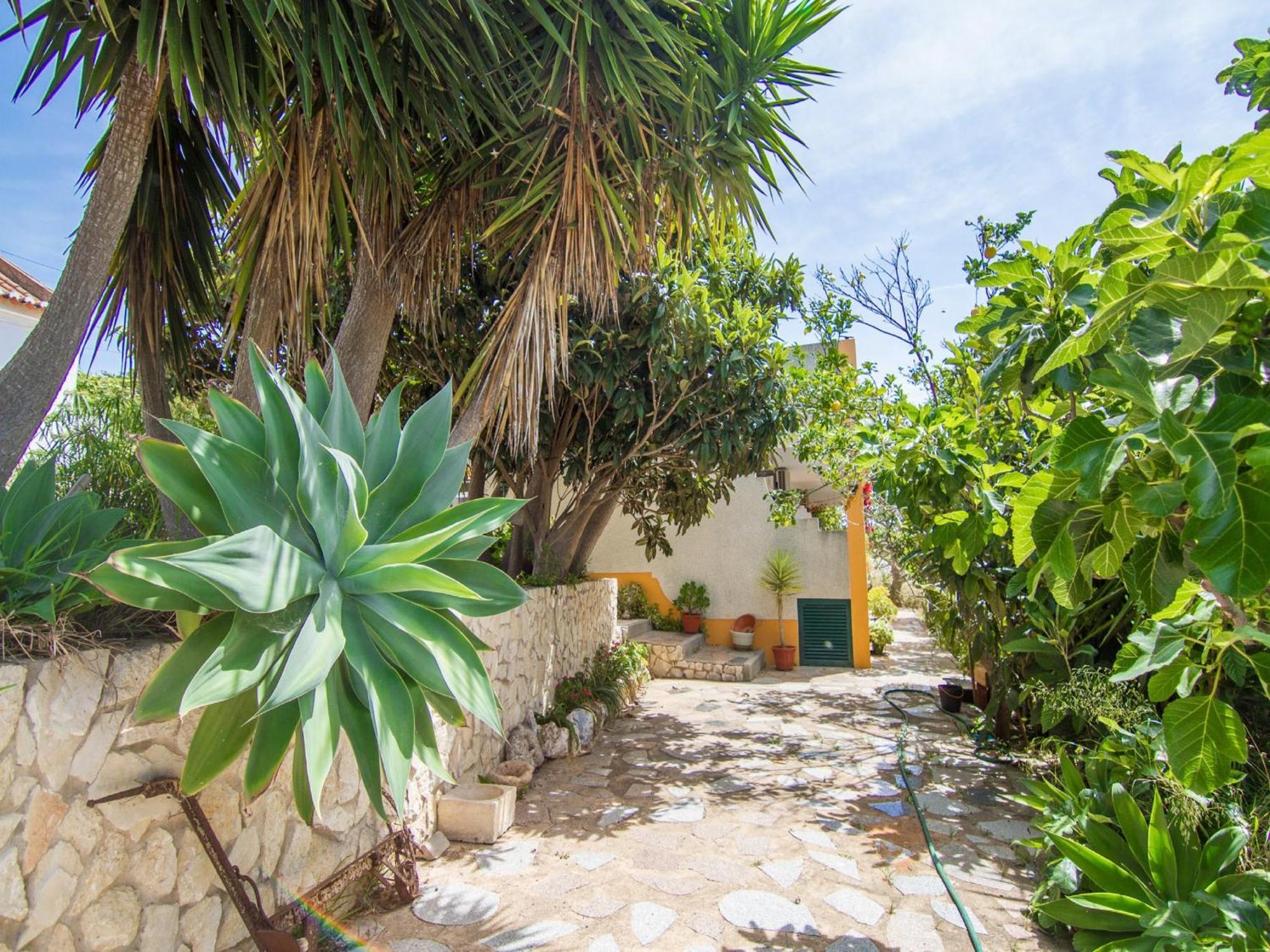 Akivillas Lagos Garden מראה חיצוני תמונה